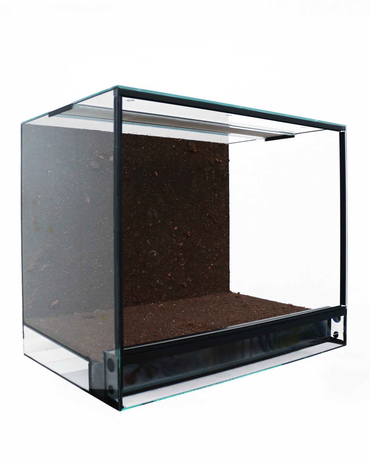 Dendrobaten Terrarium Mit Terrawall Vollausstattung Toxfrogs Shop