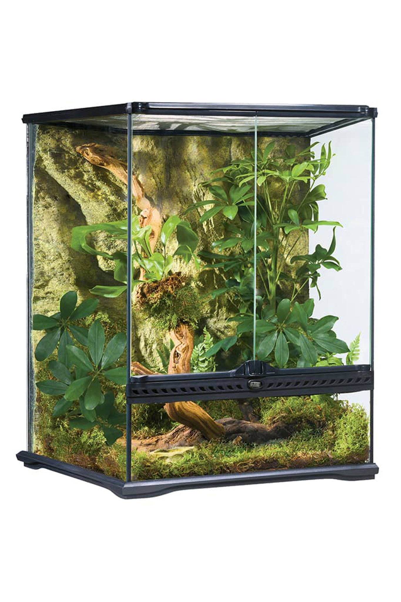 Exo Terra Terrarium ToxFrogs Shop