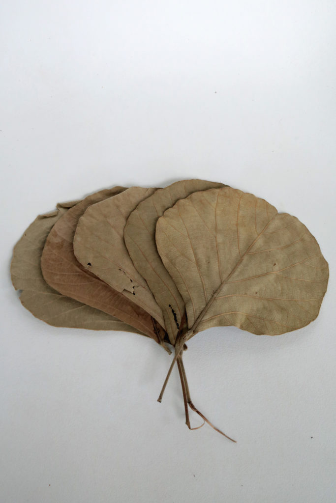 Cobra Leaves