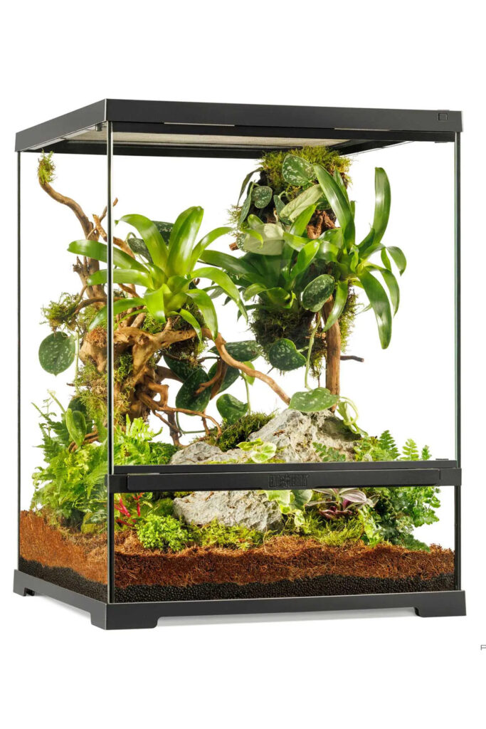 Exo Terra Pro Terrarium Small Tall 45 X 45 X 60 cm