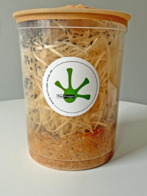 Drosophila | Bio Essenz