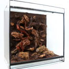 B03_DendroTerrarium029a_3734