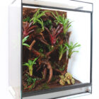 B03_DendroTerrarium033a_3969