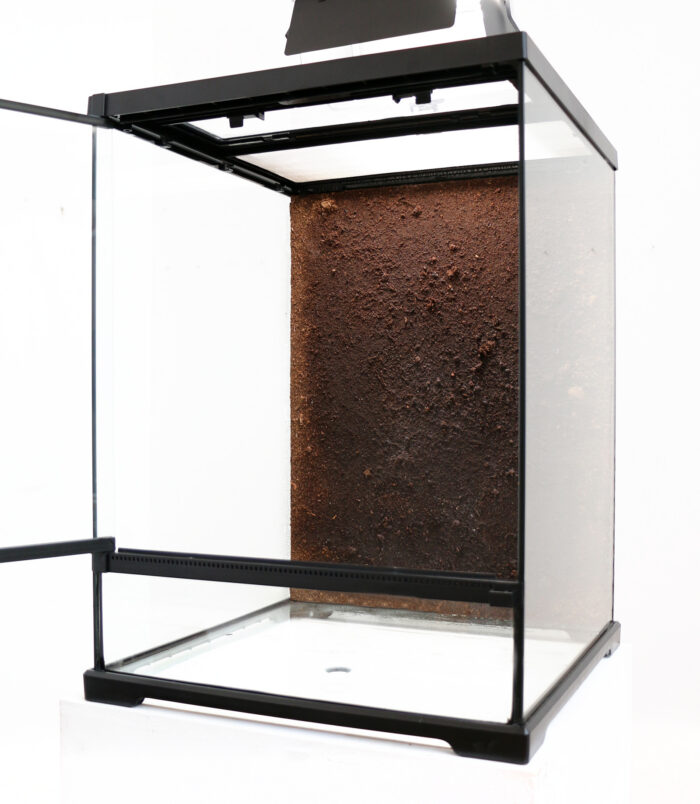 B03_DendroTerrarium035_0108 B03_DendroTerrarium035_0108