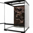 B03_DendroTerrarium036_0113