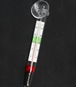 Thermometer mit Saughalter 11cm