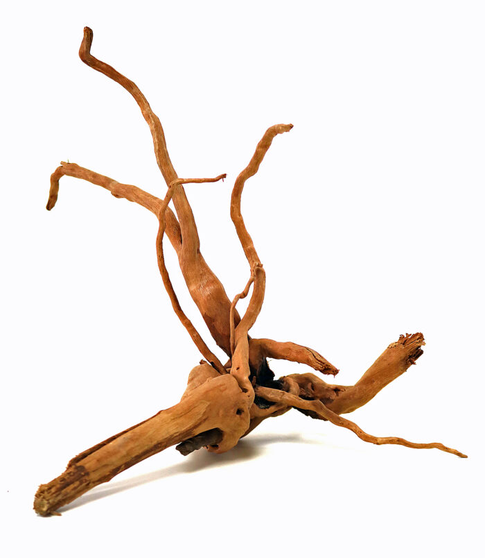 aqua Scaping wurzel aqua Scaping wurzel