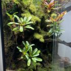 A1F958F8-FCA0-44AD-BE47-7E9B159DEBF4