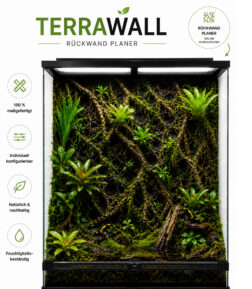 Terrawall Rückwand Planer
