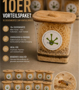 Drosophila 10er Vorteilspaket