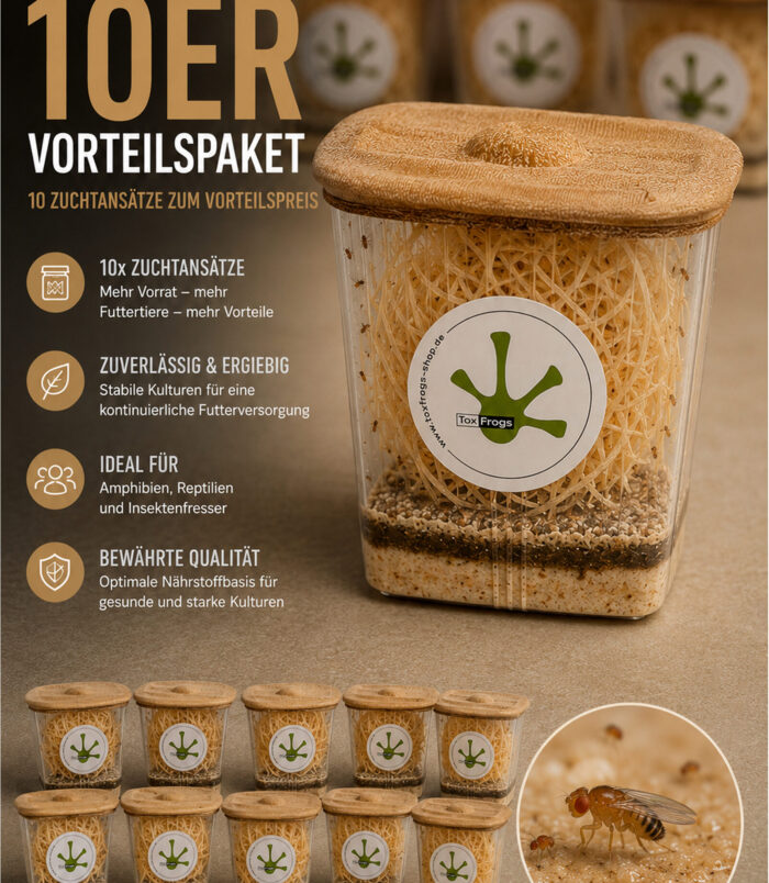 Vorteilspaket